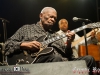 bbking_greatsouthbayfestival_072014_stephpearl_12