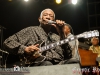 bbking_greatsouthbayfestival_072014_stephpearl_13