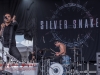 silver-snakes_0035