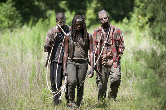 Walkers and Michonne (Danai Gurira) - The Walking Dead _ Season 4, Episode 9 - Photo Credit: Gene Page/AMC