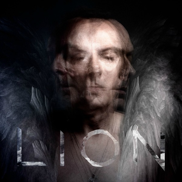 Peter-Murphy-Lion1