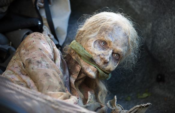 Walker - The Walking Dead _ Season 5, Episode 9 - Photo Credit: Gene Page/AMC