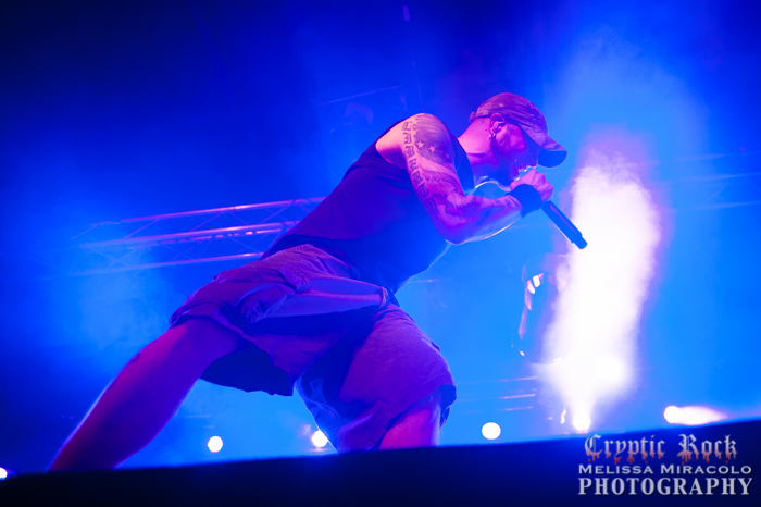 all that remains live