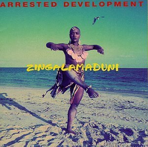 Arrested_Development-_Zingalamduni_-_album_cover