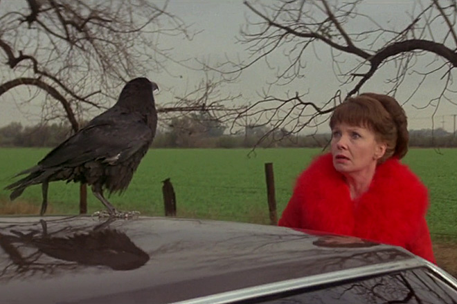 Damien: The Omen II