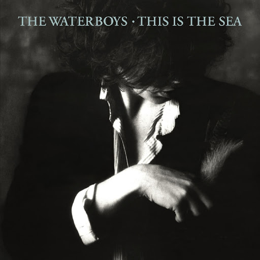 the waterboys album cover
