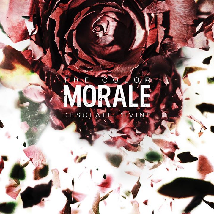 color morale album