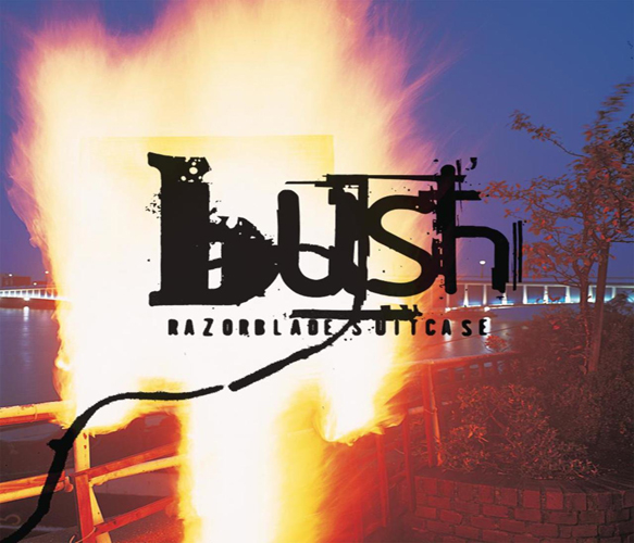 bush razor