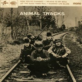 animal-tracks