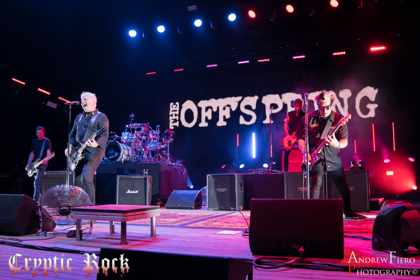 The Offspring 8-25-18 (14)