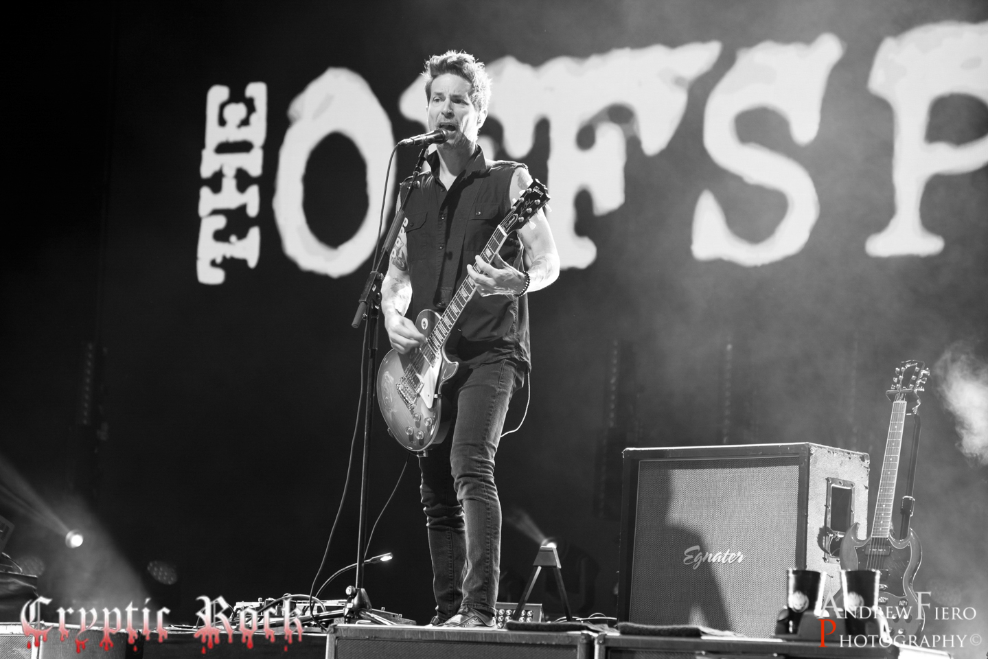 The Offspring 8-25-18 (16)
