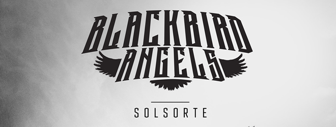 Blackbird Angels - Solsorte art