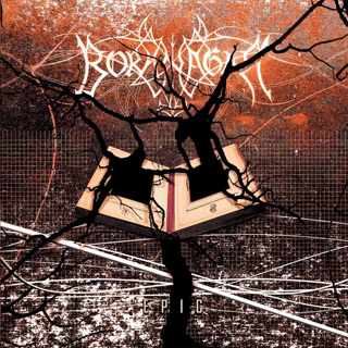 borknagar epic album