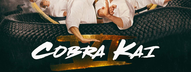 Cobra Kai season 6 poster