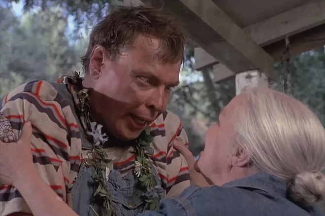 Dark Night of the Scarecrow 1981