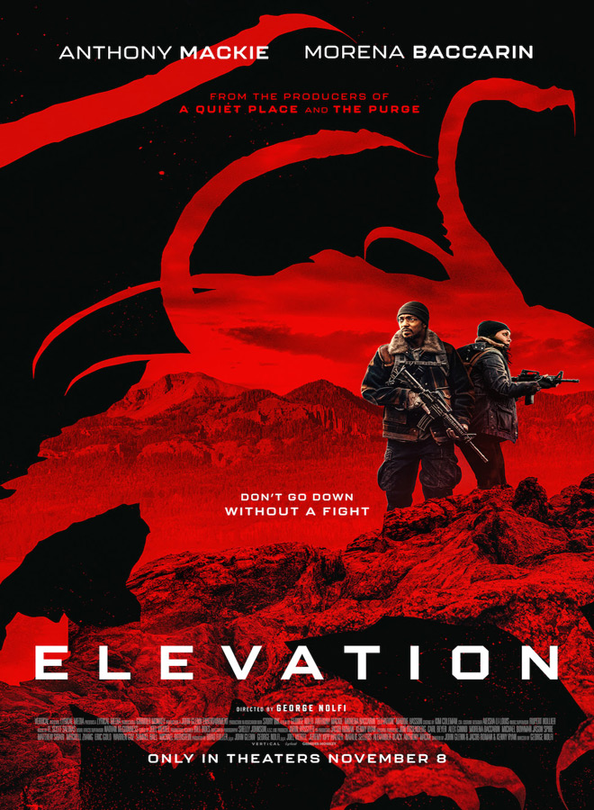 Elevation / Vertical (2024) 