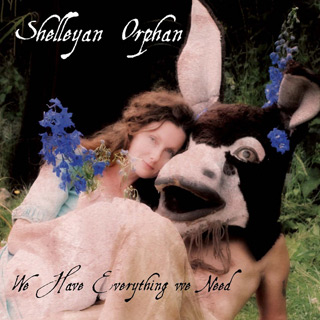 Shelleyan Orphan - We Have Everything We Need One / Little Indian