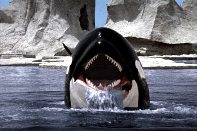 Orca 1977 movie photo