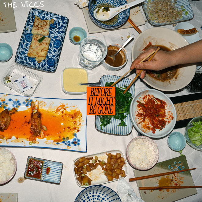 The Vices - Before It Might Be Gone album cover