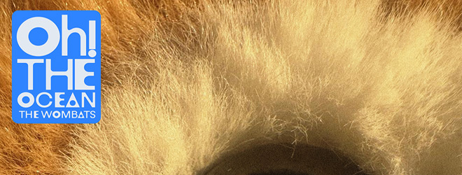 The Wombats - Oh! The Ocean art