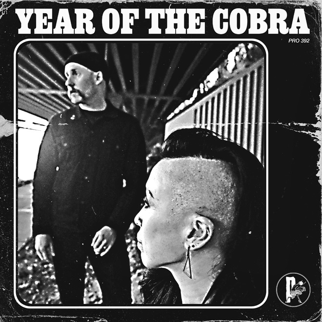 Year of the Cobra 2025 album art