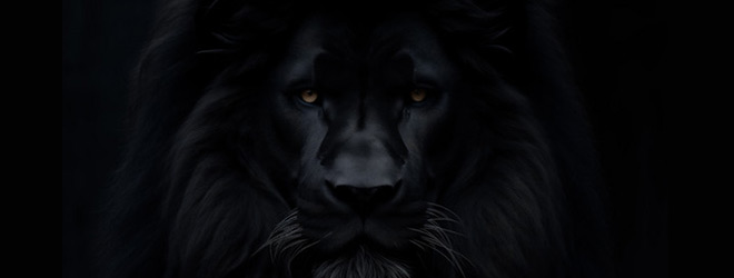 Dommin - The Martyr album cover