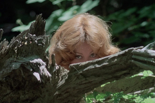 Up! (1976) Russ Meyer