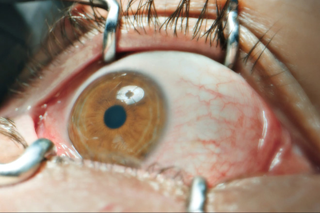 The Home / Roadside Attractions / Lionsgate (2025)