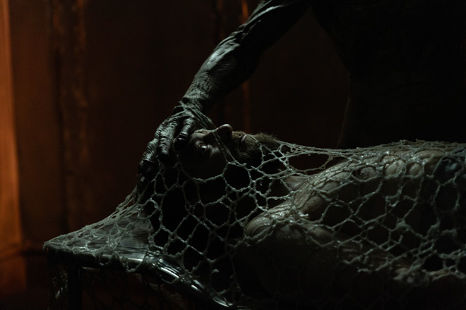 Descendent / RLJE Films (2025)