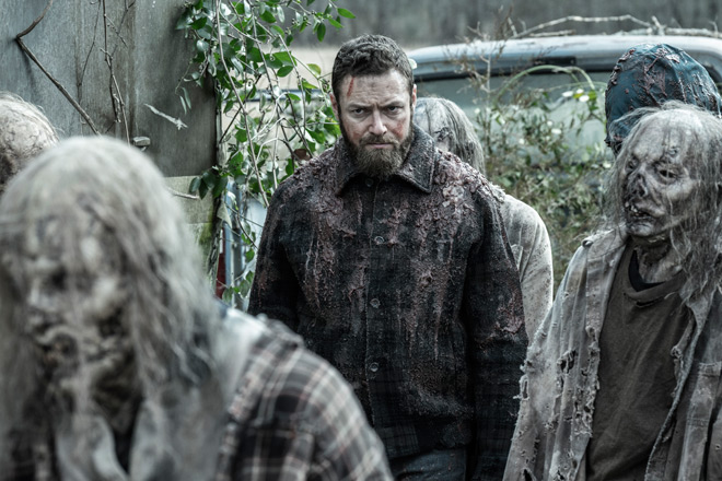 The Walking Dead series