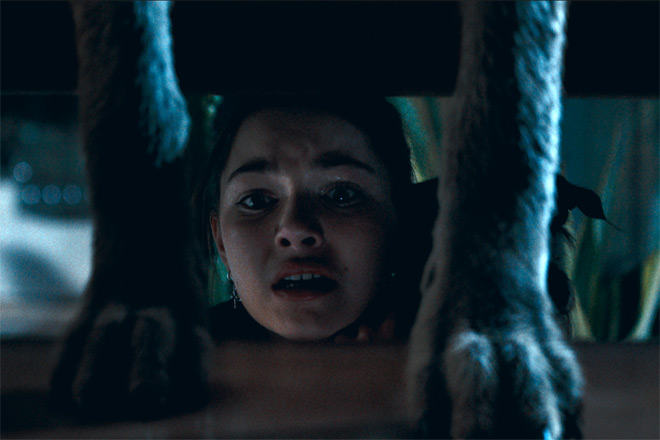 Coyotes / Aura Entertainment (2025)