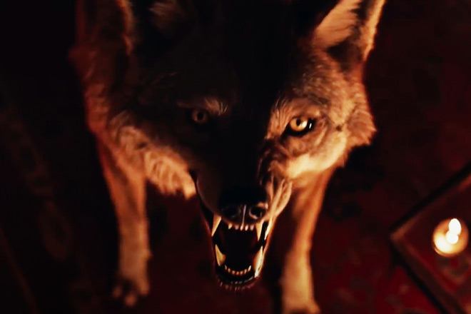 Coyotes / Aura Entertainment (2025)