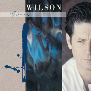 Brian Wilson - Brian Wilson / Sire (1988)