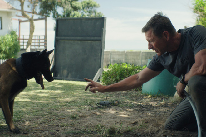 Muzzle: City of Wolves / RLJE Films (2025)