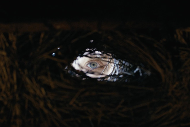 Shaman / Well Go USA (2025)