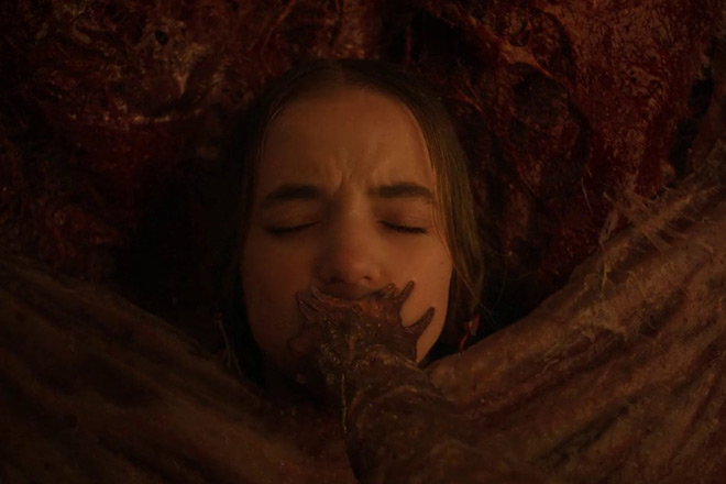 Stranger Things - The Rightside Up / Netflix (2025)