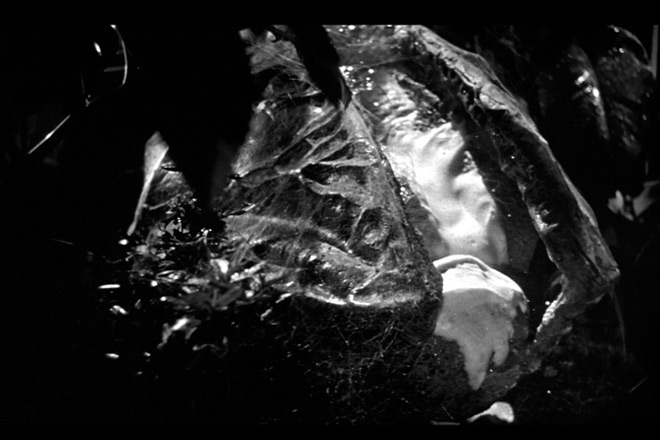 Invasion of the Body Snatchers/ Allied Artists Pictures (1956)